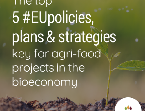The top 5 EU policies, plans & strategies key for agri-food projects in the bioeconomy
