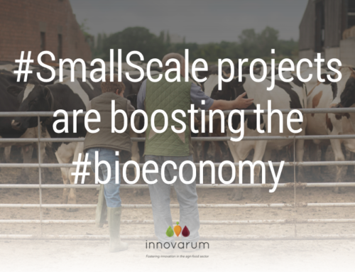 Small scale projects are boosting the bioeconomy: MainstreamBIO and BioRural