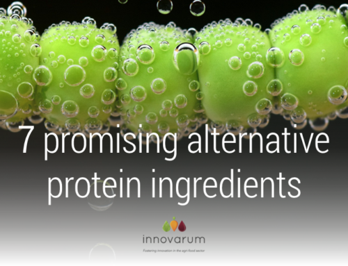 7 promising alternative protein ingredients
