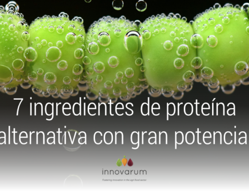 7 ingredientes de proteína alternativa con gran potencial
