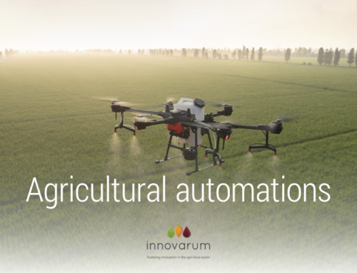 Automation may shape the future of the agrifood sector in the coming years