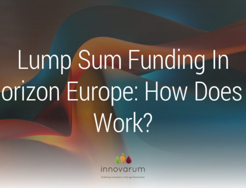 Lump Sum Funding In Horizon Europe: How Does It Work?